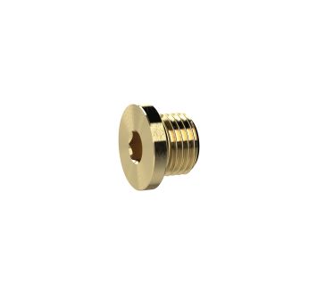 Locking screw, Hexagonal socket and flange, G 1, AF 17, Brass