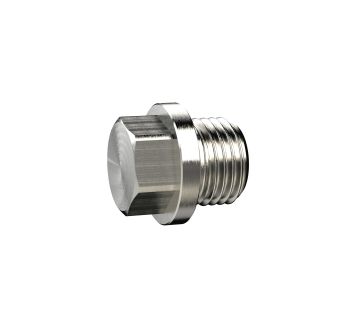 Locking screw, Exterior hexagonal, with collar G 1/8, AF 10