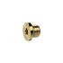 Locking screw, Hexagonal socket and flange, G 1/8, AF 5, Brass