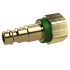 Captive nipple I.D. 5, bright brass, G 1/8 IT, green